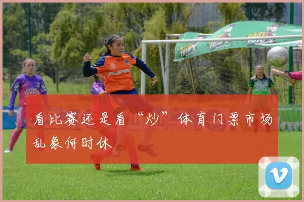 看比赛还是看“炒”体育门票市场乱象何时休
